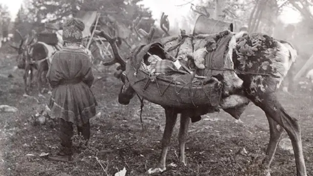 Laponske bebe i deca uče da budu fleksibilni u svojim navikama spavanja, kao na ovoj arhivskoj fotografiji iz 1930-ih