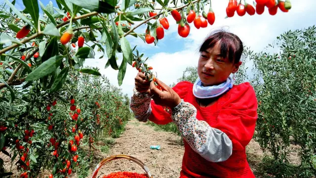 Những Lưu Ý Khi Ăn Cà Chua