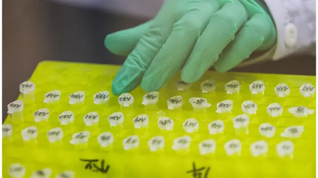 Пробірки в лабораторії та рука вченого у латексній рукавичці