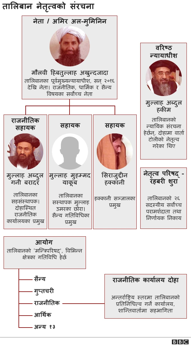 तालिबान