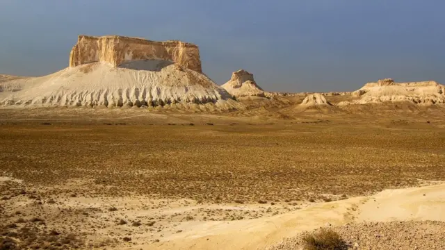نظرة مستقبلية