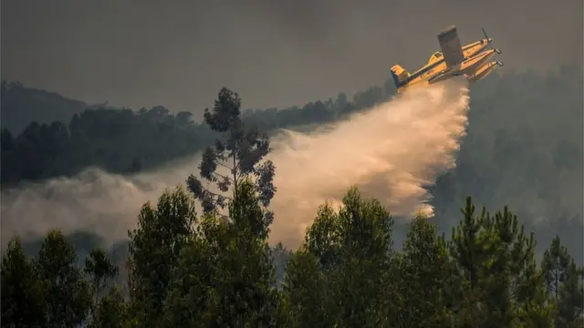 Пожежний літак гасить лісову пожежу в центральній частині Португалії