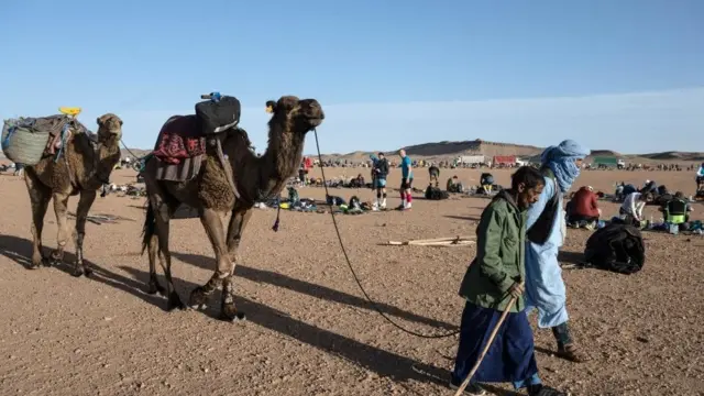 Men with camels walk past competitors at the Marathon des Sables. There is desert behind them.