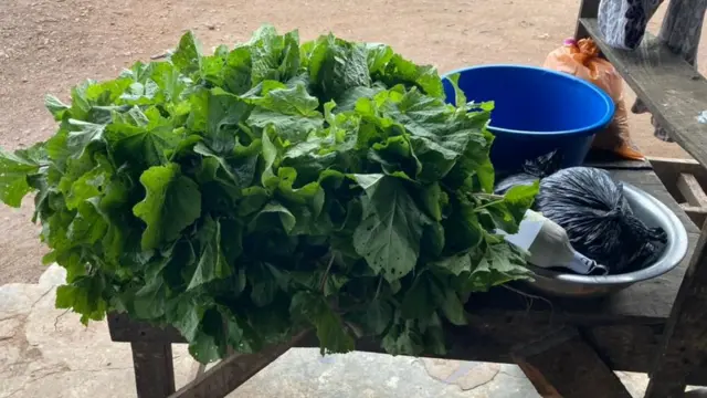 Igbo-Ora Twins festival