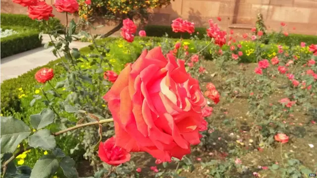 ਮੁਗਲ ਗਾਰਡਨ