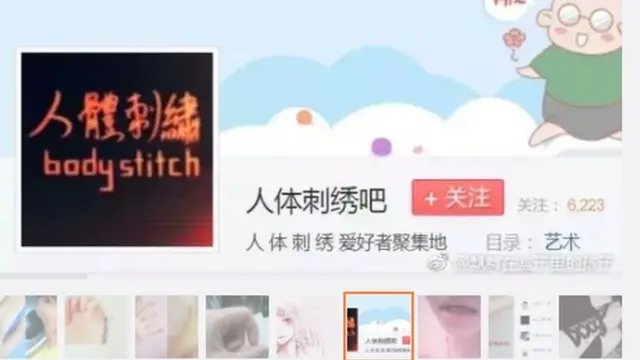 மனித தோல்களில் போடப்படும் தையல்களை ஊக்குவிக்கும் இணைய குழுக்கள் நீக்கப்பட்டுள்ளன.