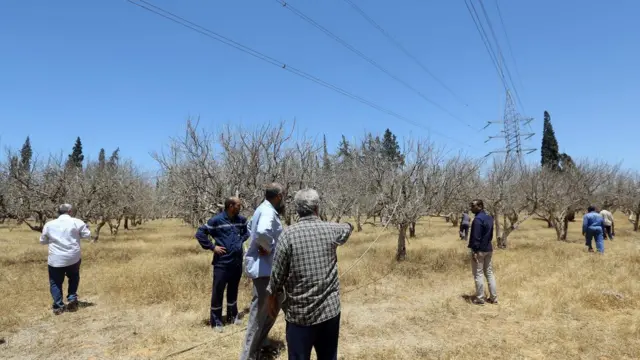 محاولات لإصلاح خطوط الكهرباء في طرابلس