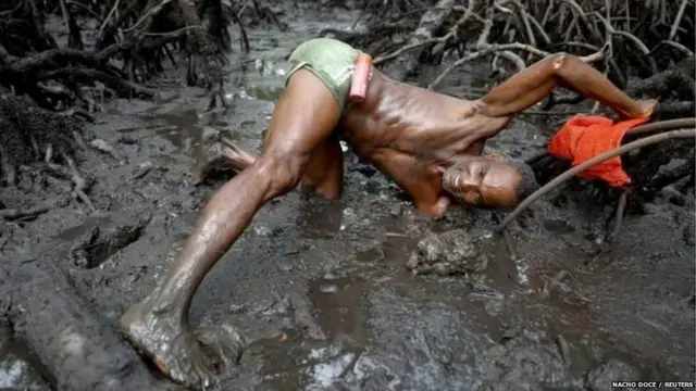 ਬ੍ਰਾਜ਼ੀਲ ਵਿੱਚ ਮੱਛੀ ਤੇ ਕੇਕੜੇ ਫੜਣਾ ਕਿਉਂ ਹੈ ਖ਼ਾਸ