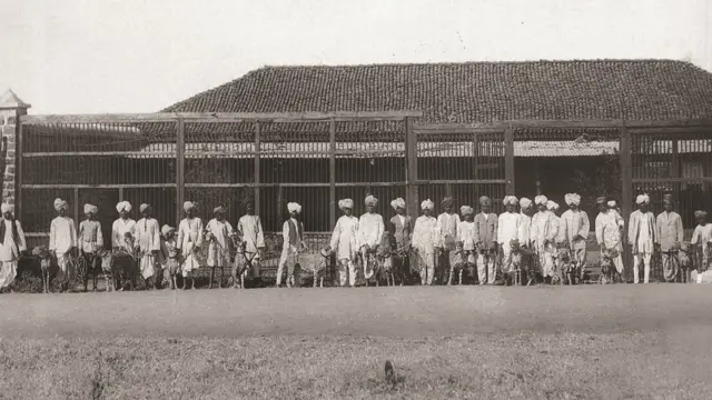 चित्ता, कोल्हापूरमधील चित्ते, चित्ते Cheetah Cheeta Kolhapur