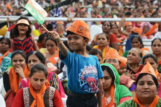 ભાજપના સમર્થકો.