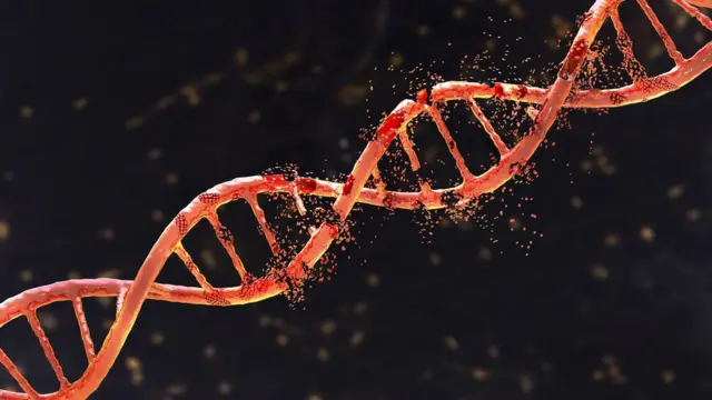 DNA