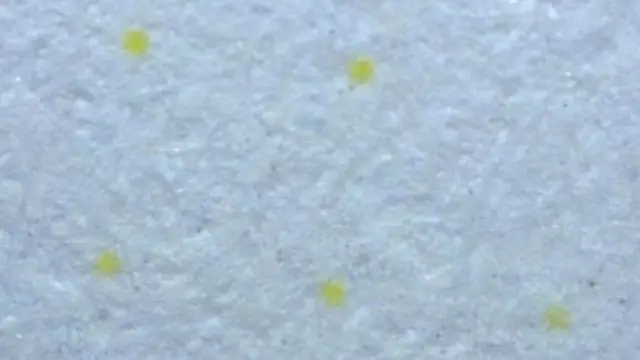 Желтые точки, увеличенные в 60 раз, были обнаружены на распечатанных страницах секретного документа