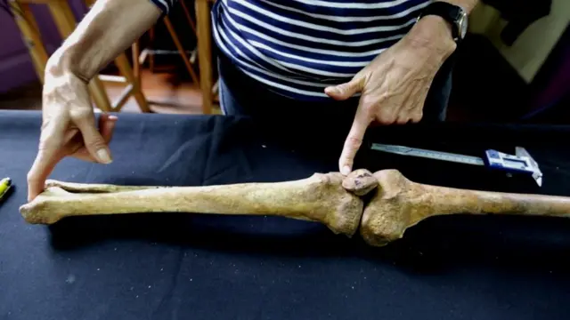 Mujer sostiene un hueso para medirlo sobre una mesa azul.