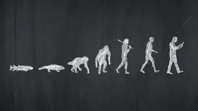 Evolución