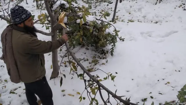 कश्मीर में बर्फ़बारी