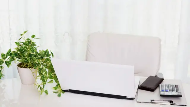 Чтобы впустить природу в свой офис, не обязательно тратить огромные суммы денег