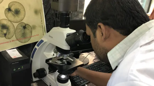 ஆராச்சியில் ஈடுபடும் விஞ்ஞானிகள்