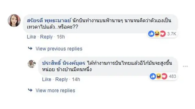 ข้อความวิจารณ์