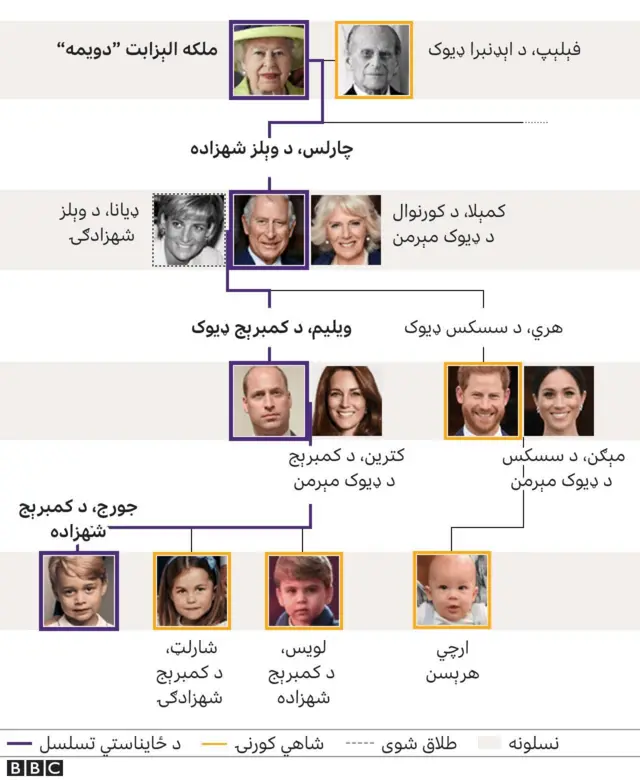 شاهي کورنۍ