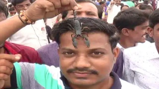 తేళ్ల పంచమి కందుకూరు