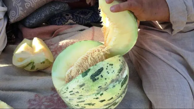 خربزه