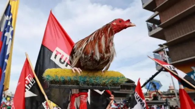 Детаљ Мадурове кампање