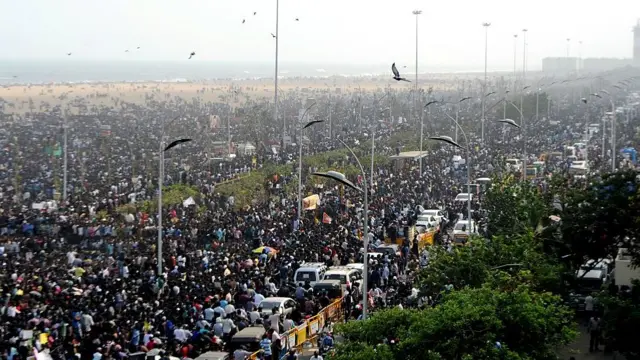 ஜல்லிக்கட்டு