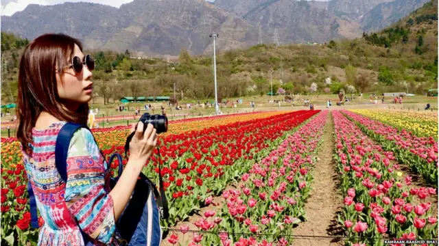 ट्यूलिप बगीचा, श्रीनगर