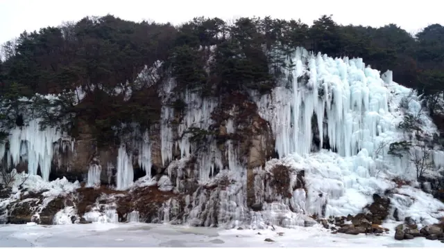 철원군 한탄강 일대 주상절리에 조성된 얼음빙벽이 웅장한 자태를 뽐내고 있다