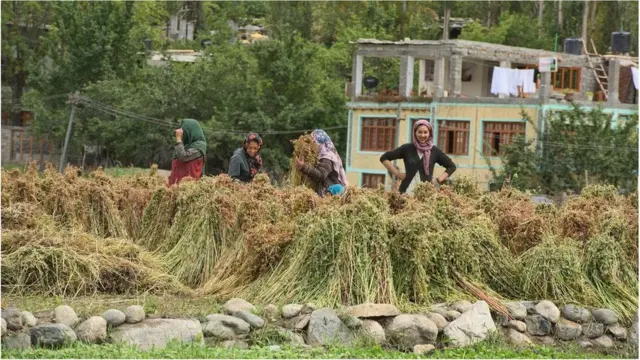 這條控制線穿過地球上海拔很高自然環境極端惡劣的高山地區，是印巴之間一條有爭議的邊界線。