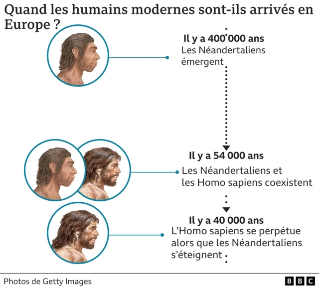 Graphique Hommes de Néandertal en Europe