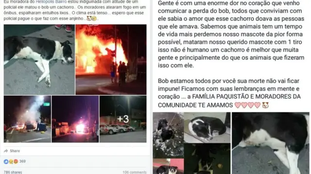 Reações no Facebook após a morte do cachorro Bob