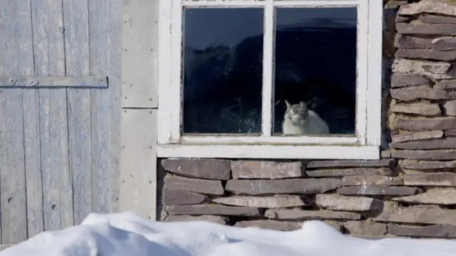 Дом в Красной Поляне