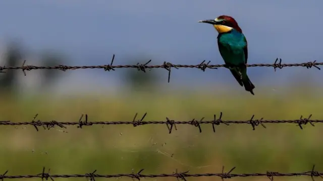 சூழலியல் மீதான போர்: