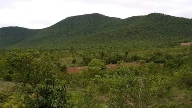 မြန်မာယန်စီ