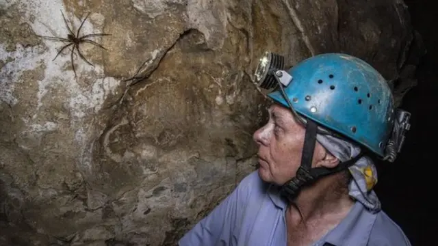 ਸਭ ਤੋਂ ਲੰਮੀ ਗੁਫਾ