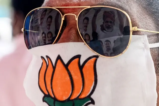 ભાજપ કાર્યકર