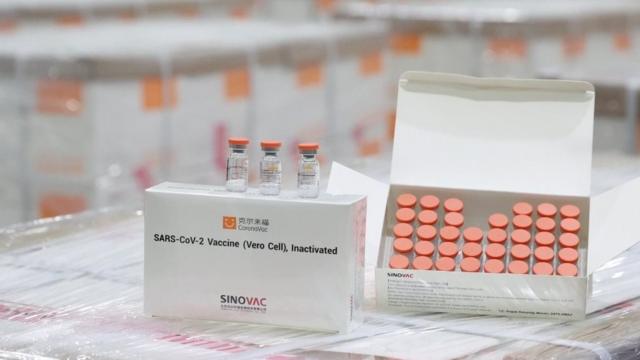 Çin'den alınan CoronaVac aşıları