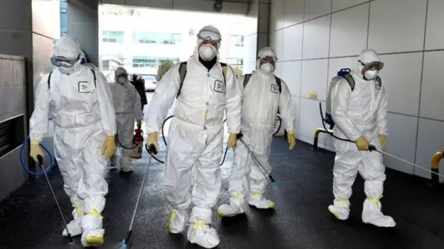 કોરોના વાયરસ