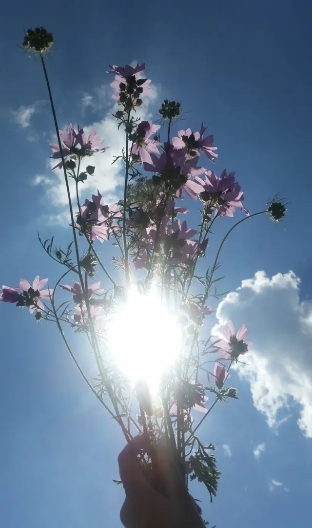 Foto karya Louise Donovan