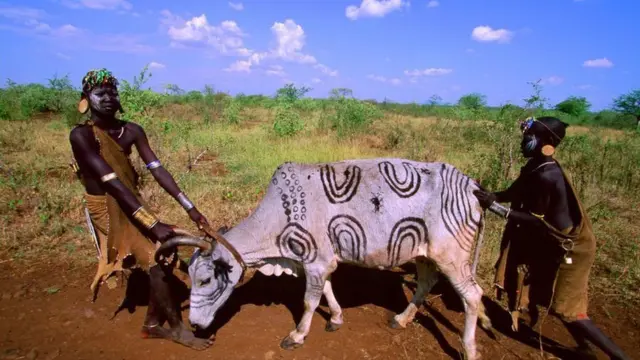 Uummata Mursii