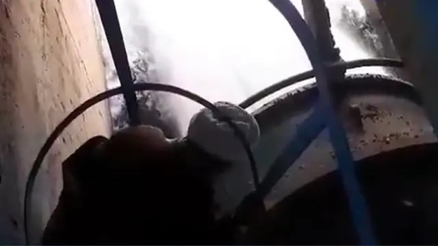 مجتبی ذوالنور