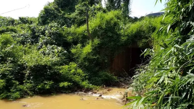 Ọwa ndị Ntorị si a agba ọsọ