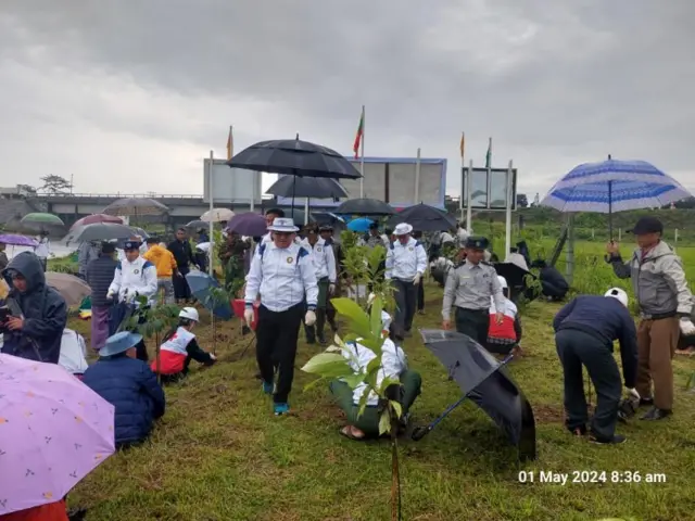 စစ်ကောင်စီရဲ့ကချင်ပြည်နယ် ဝန်ကြီးချုပ်တို့ သစ်ပင်စိုက်ပွဲ