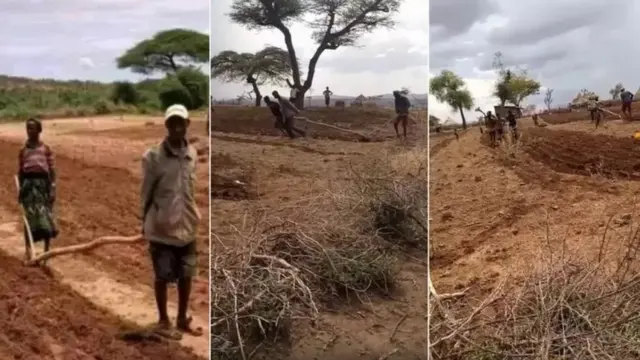 ኣብ ክንዲ ብዕራይ ንርእሶም ኣርዑት ፀሚዶም ዝሓርሱ ሰባት