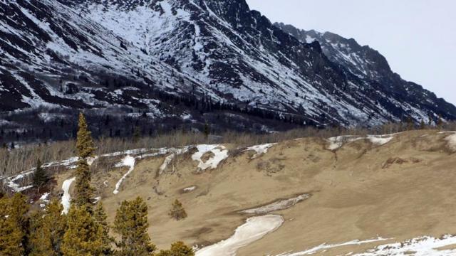 hacha del desierto canadiense