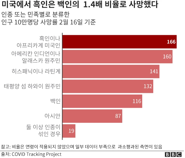 인종별 사망 비율