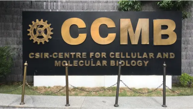 సీసీఎంబీ