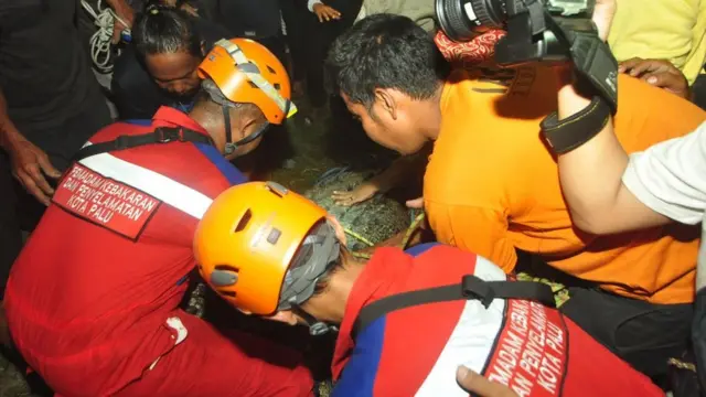 buaya dikembalikan ke sungai.