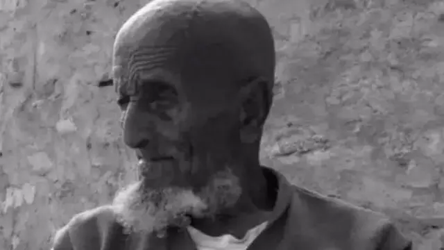 ኣቦይ ነታባይ